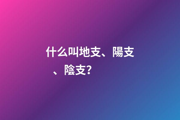 什么叫地支、陽支、陰支？